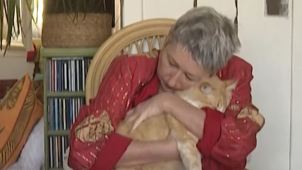 Pengadilan Prancis telah menetapkan seekor kucing sebagai tahanan rumah setelah seorang tetangga mengeluh bahwa kucing tersebut terus melompat ke kebunnya. (Tangkapan Layar Instagram afpnewsagency/Ysis Percq)