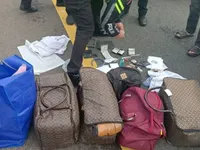 Dikira Punah, Kucing Paling Langka di Dunia Muncul Lagi di Thailand