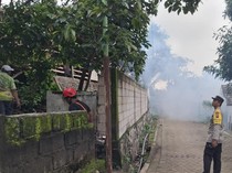 19 Warga Satu Dusun di Pasuruan Kena Chikungunya, Polisi Lakukan Fogging
