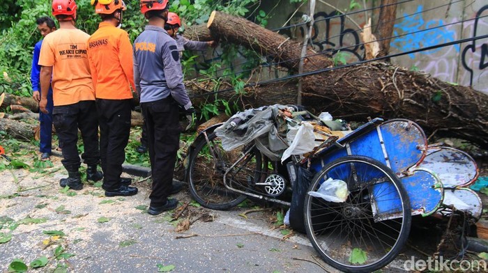 Proses evakuasi dua orang yang tertimpa pohon di Ring Road Utara oleh petugas gabungan, Jumat (21/11/2025).