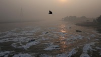 Kabut polusi dan buih tebal berpadu menciptakan suasana suram saat perahu melintas di antara endapan limbah yang mengapung di Yamuna. Sungai Yamuna terus bergulat dengan pencemaran parah setiap musim dingin. REUTERS/Bhawika Chhabra