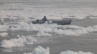 Perahu kecil melaju di atas permukaan Sungai Yamuna yang dipenuhi buih limbah. Kondisi ini menggambarkan parahnya pencemaran di jantung ibu kota India, Jumat (21/11/2025). REUTERS/Bhawika Chhabra