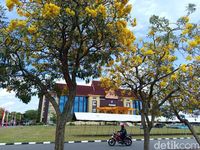 Kerangka Manusia Ditemukan di Wonogiri, Ternyata Lansia yang Hilang Sejak Januari 2025