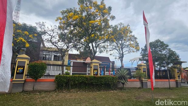 Tabebuya bemekaran indah di Mapolda Riau bertepatan di Hari Pohon Sedunia.