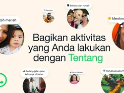 WhatsApp Hidupkan Kembali Fitur Tentang, Mirip Instagram Notes