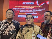 Produksi Ayam-Telur Tertumpuk di Jawa, Pemerintah Dorong Sentra Baru