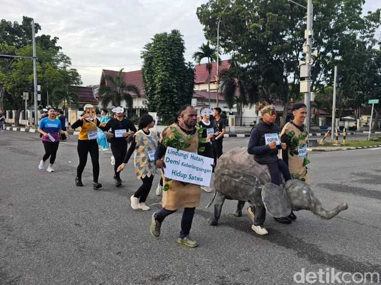 Potret Gajah hingga Domba Berlari untuk Selamatkan Hutan Riau