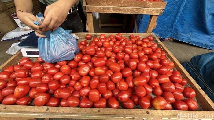Harga Tomat di Sumut Anjlok, Dijual Cuma Rp 4.000/Kg