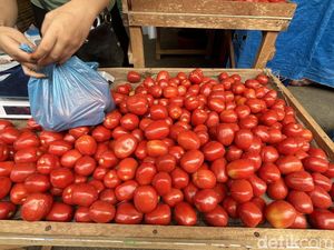 Harga Tomat di Sumut Anjlok, Dijual Cuma Rp 4.000/Kg