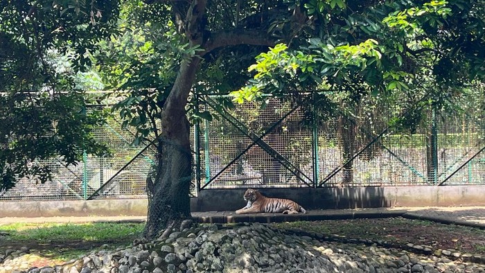 Taman Margasatwa Ragunan