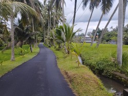 Jalan menuju objek wisata Air Terjun Tibumana. Akses tersebut kerap menjadi spot foto wisatawan. Jika ingin berfoto sebaiknya datang pagi untuk menghindari lalu lalang kendaraan turis.
