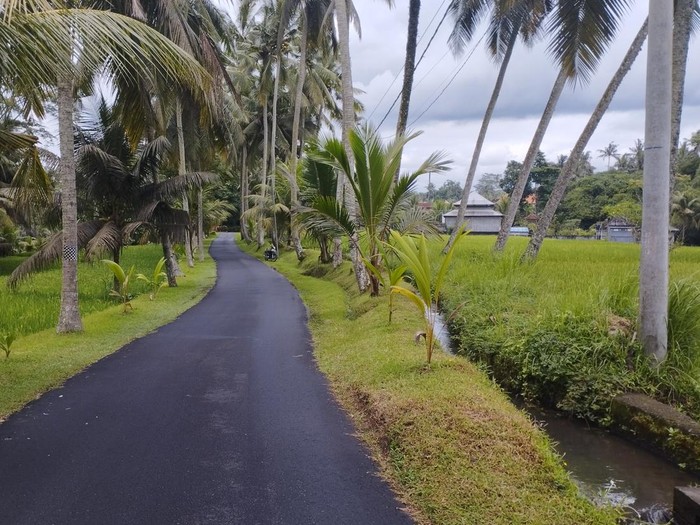 Jalan menuju objek wisata Air Terjun Tibumana, Bangli, Bali, Sabtu (15/11/2025). Akses tersebut kerap menjadi spot foto wisatawan.