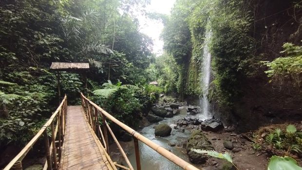 Jembatan Bambu Menuju Air Terjun Tibumana Jembatan bambu menuju Air Terjun Tibumana, Bangli, Bali, Sabtu (15/11/2025). Pengunjung akan melalui dua jembatan bambu sebelum mencapai Air Terjun Tibumana.