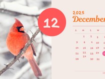 Jadwal Libur Akhir Tahun 2025 Lengkap, Yuk Catat Tanggalnya!