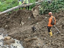 Update Pencarian Korban Longsor Banjarnegara: 14 Tewas-15 Hilang