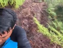 Video: Medan Menantang untuk Temukan Rafflesia hasseltii di Sumbar