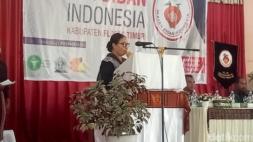 Sekertaris Pengurus IBI Daerah Provinsi NTT, Maria Margareitha Verawaty Seu, Sabtu (22/11/2025). (Yurgo Purab)
