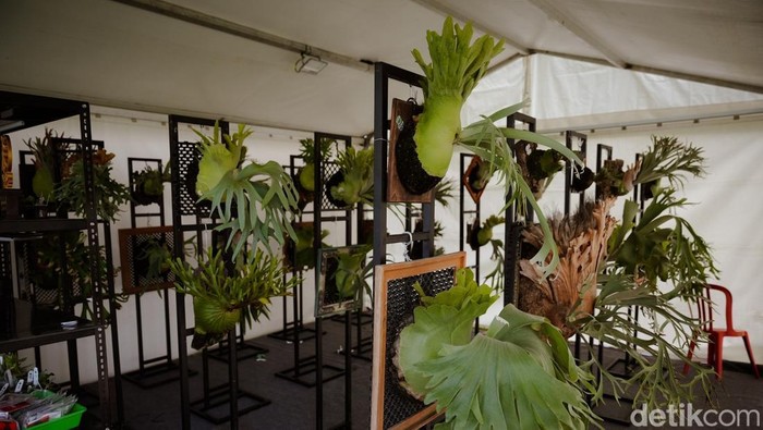 Simbar-simbar yang dipajang menanti para kolektor di Puspem Badung, Sabtu (22/11/2025).