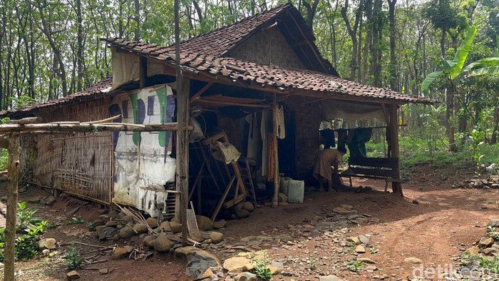 Tiga keluarga manusia hutan yang bertahan hidup di pedalaman Mojokerto-Jombang.