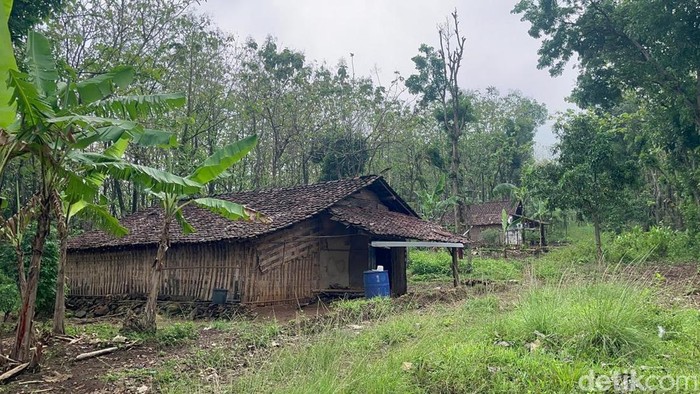 Tiga keluarga manusia hutan yang bertahan hidup di pedalaman Mojokerto-Jombang.