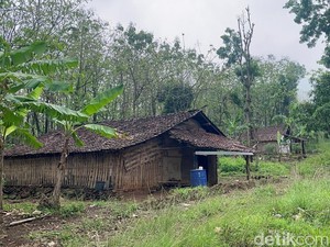 Tekad Manusia Hutan Mojokerto-Jombang Bisa Bangun Rumah dari Jerih Payah