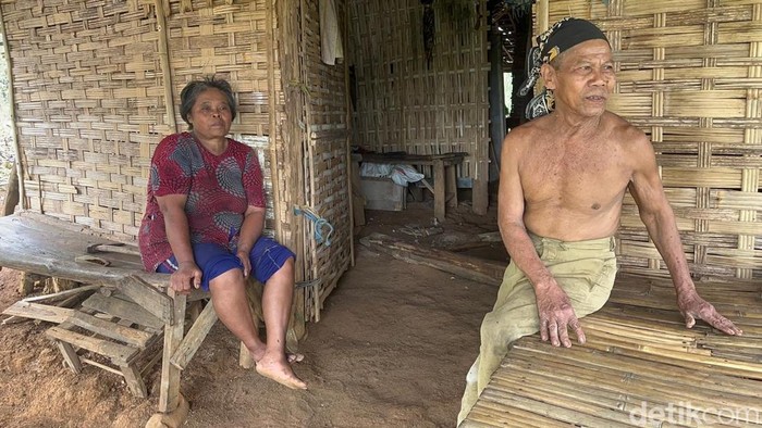 Tiga keluarga manusia hutan yang bertahan hidup di pedalaman Mojokerto-Jombang.