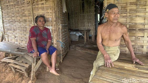 Tiga keluarga manusia hutan yang bertahan hidup di pedalaman Mojokerto-Jombang.