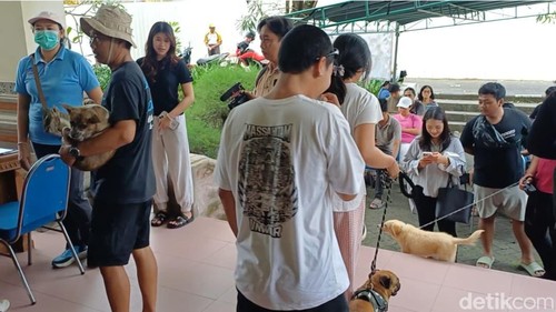 Warga Badung menggeruduk layanan sterilisasi dan vaksinasi anjing gratis di Mangupura Vet Care, Kantor Diperpa Badung, Sabtu (22/11/2025).