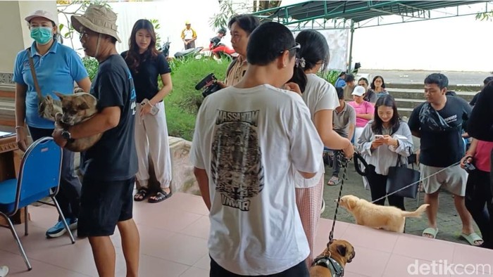 Warga Badung menggeruduk layanan sterilisasi dan vaksinasi anjing gratis di Mangupura Vet Care, Kantor Diperpa Badung, Sabtu (22/11/2025).