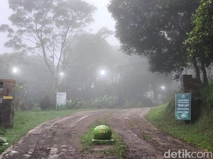 Tenjo Laut, Wisata Alam Murah Meriah di Kaki Ciremai
