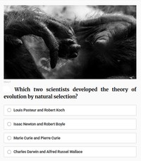 Yuk kita tes pengetahuan kalian soal sejarah. Silahkan jawab pertanyaa-pertanyaan berikut ini.