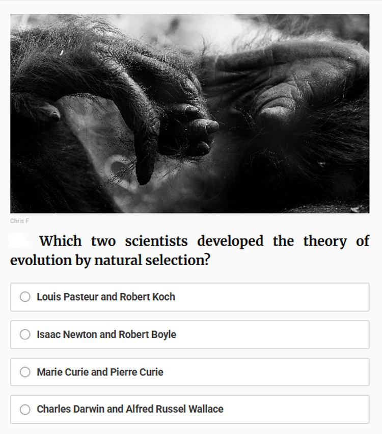 Yuk kita tes pengetahuan kalian soal sejarah. Silahkan jawab pertanyaa-pertanyaan berikut ini.