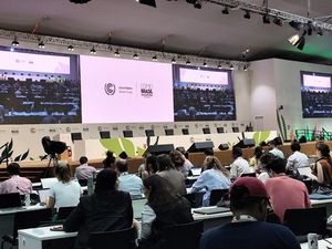 Di COP30 Brasil, Indonesia Komitmen Perkuat Ketahanan Iklim