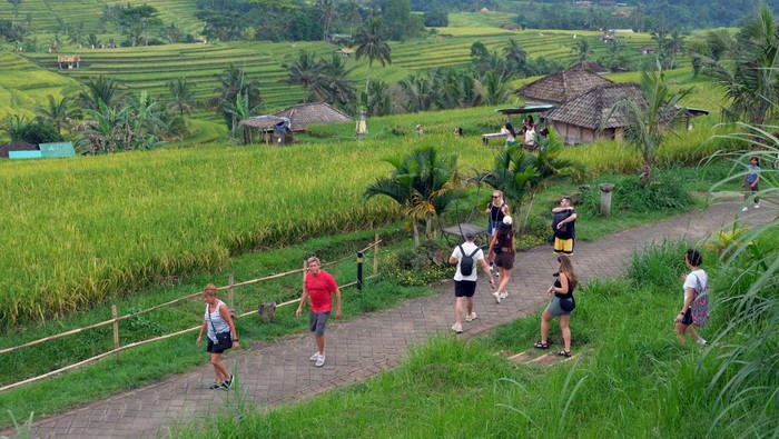Wisatawan mancanegara berfoto bersama di area patung Dewi Sri berbahan bambu saat berkunjung di Desa Wisata Jatiluwih, Tabanan, Bali, Minggu (23/11/2025). Pengelola mencatat jumlah kunjungan wisatawan di desa wisata yang meraih penghargaan internasional sebagai salah satu destinasi berkelanjutan terbaik dunia dalam ajang Green Destinations Top 100 Stories 2025 yang digelar di Montpellier, Prancis itu selama periode 1 Januari hingga 22 November 2025 berjumlah 358.001 orang dengan rincian yakni 99.279 wisatawan nusantara dan 258.722 wisatawan mancanegara yang didominasi wisatawan asal negara-negara Eropa. ANTARA FOTO/Nyoman Hendra Wibowo/bar