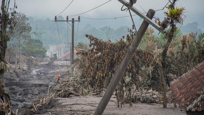 Relawan melintasi tiang penyulang listrik yang rusak akibat erupsi Gunung Semeru di Desa Supiturang, Pronojiwo, Lumajang, Minggu (23/11/2025).