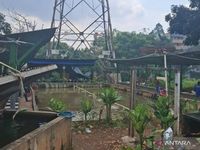 Natalius Pigai Bela Menlu Sugiono dari Kritik Dino Patti Djalal: Indonesia Saat Ini Dipandang Dunia