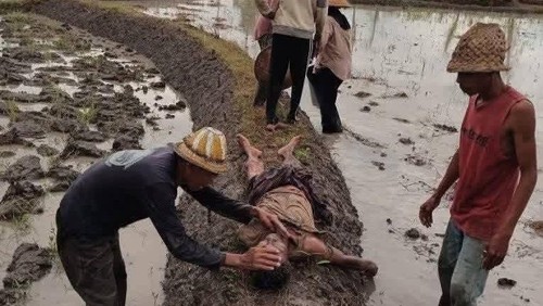 Misbah (55), petani di Dusun Bangket Tengak, Desa Pejanggik, Kecamatan Praya Tengah, Lombok Tengah, ditemukan tewas karena tersambar petir di area persawahan miliknya, Minggu (23/11/2025). Foto: (Dok. Facebook @Rani Hafizah)