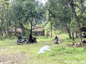 3 Keluarga Manusia Hutan Hidup Berdekatan Tapi Dipisahkan 2 Kabupaten