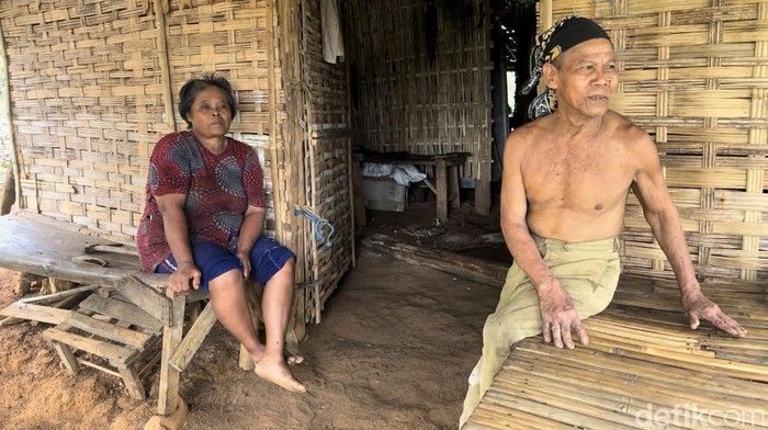 Potret Aktivitas Tiga Keluarga Manusia Hutan di Pedalaman Mojokerto