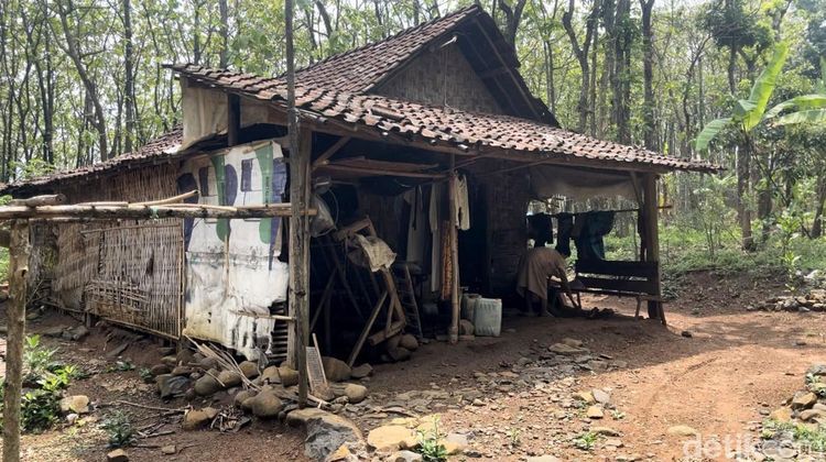 Potret Kehidupan Tiga Keluarga Manusia Hutan di Pedalaman Mojokerto-Jombang