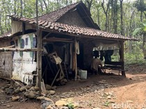 Potret Kehidupan Tiga Keluarga Manusia Hutan di Pedalaman Mojokerto-Jombang