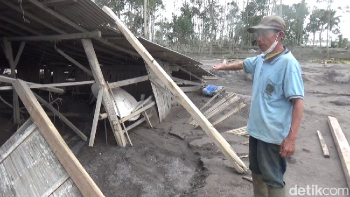 4 Sapi dan 168 Domba Mati Akibat Terjangan Awan Panas Semeru