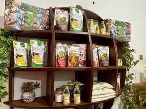 Kisah UMKM Banyumas & Banjarnegara: Merawat Tradisi, Guncang Pasar Dunia
