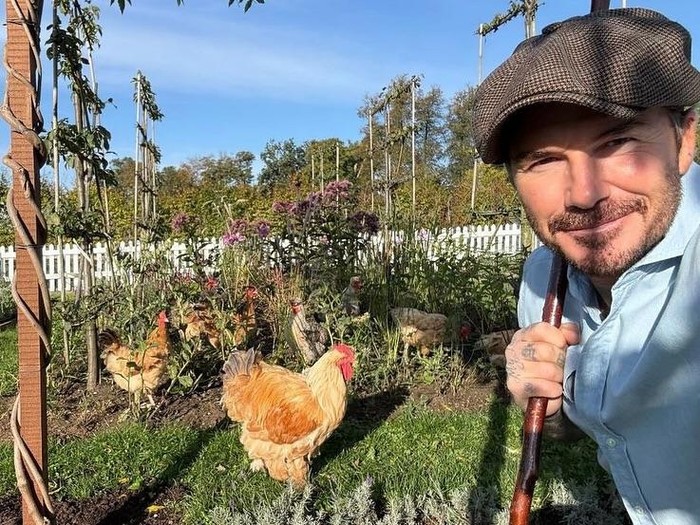 David Beckham dan kegiatannya di rumah.