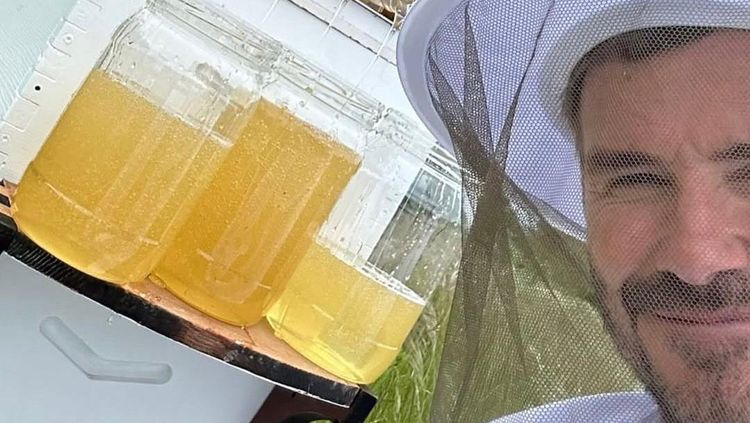 David Beckham Gak Cuma Urus Kebun, Ternak Ayam, Lebah, tapi Juga Bikin Kue