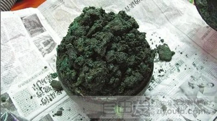 Antik! Begini Penampakan 10 Fosil Makanan yang Ditemukan Arkeolog