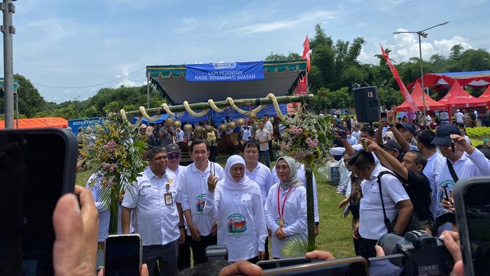 Gubernur Jatim Khofifah saat meninjau acara penyelenggaraan inseminasi buatan dan vaksinasi ternak di City Forest Arum Sabil Jember.
