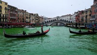 Wali Kota Venesia Luigi Brugnaro menyatakan bahwa aksi pewarnaan kanal merusak citra kota yang bergantung pada pariwisata. REUTERS/Manuel Silvestri  