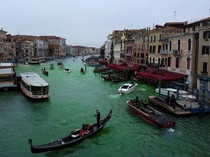 Greta Thunberg Ikut Demo dan Warnai Kanal Venesia, Berujung Dilarang Masuk