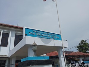 Indramayu Sumbang 32,70% Perikanan Jabar 2024, Target 2025 Meningkat